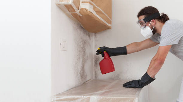 Professional Attic Mold Removal technician working in Scotts, MI